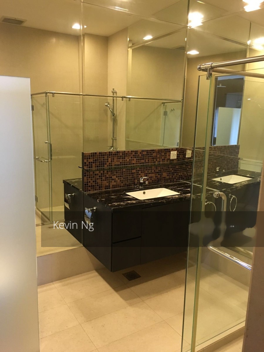 Cairnhill Plaza (D9), Apartment #128758772